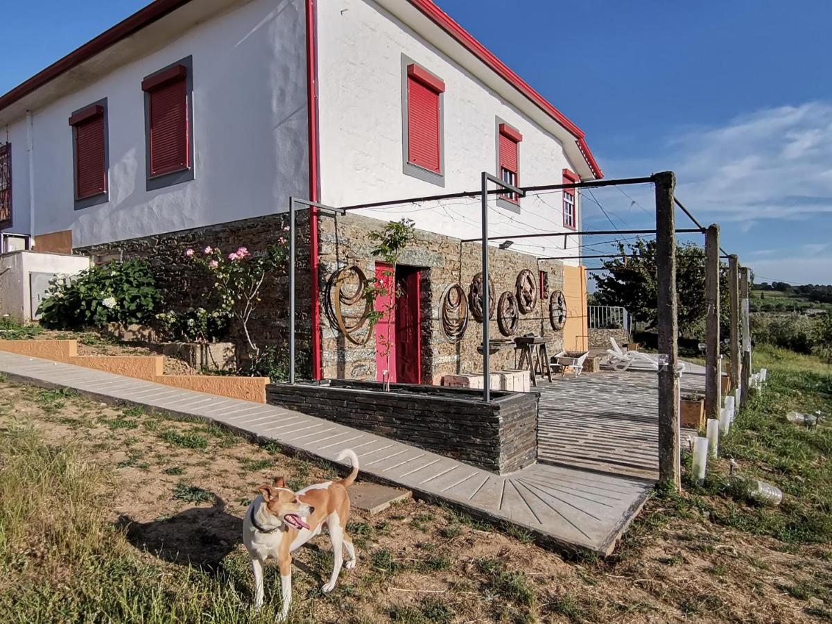 فندق Casa Da Vinha Grande Poiares المظهر الخارجي الصورة