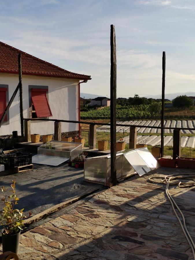 فندق Casa Da Vinha Grande Poiares المظهر الخارجي الصورة