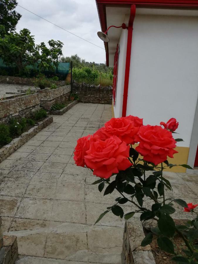 فندق Casa Da Vinha Grande Poiares المظهر الخارجي الصورة