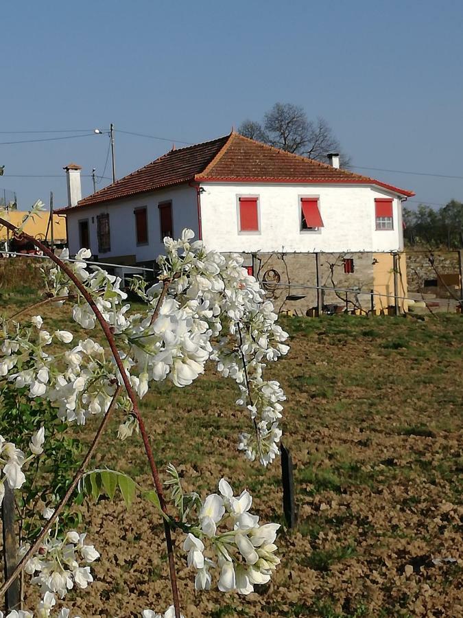 فندق Casa Da Vinha Grande Poiares المظهر الخارجي الصورة